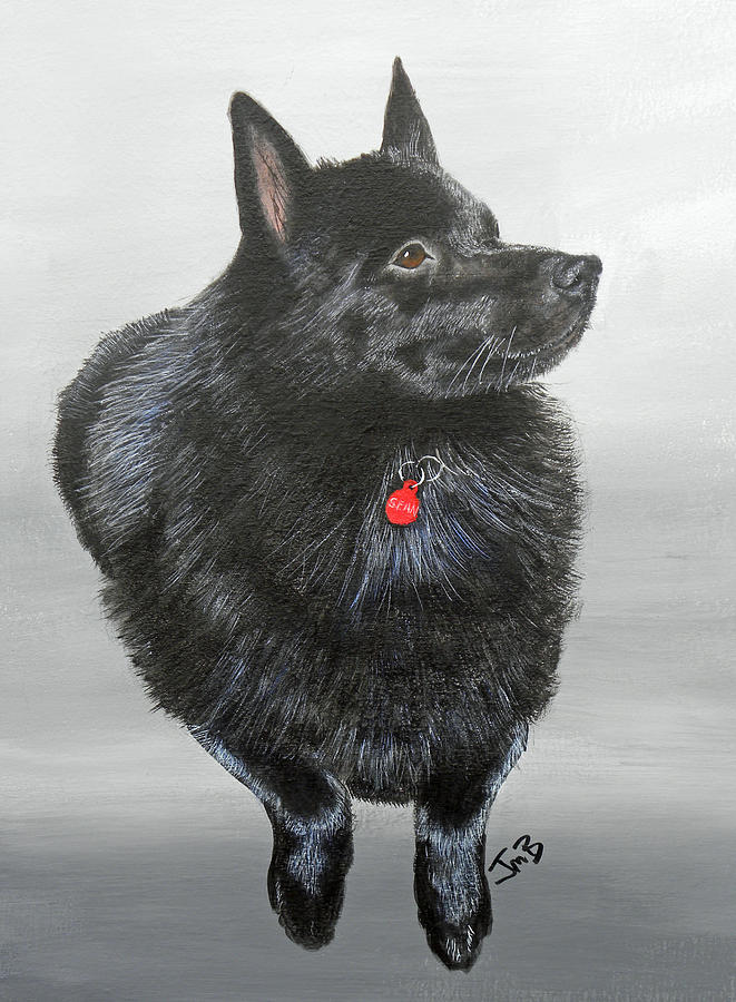 Dog Painting - Sean by Janice M Booth