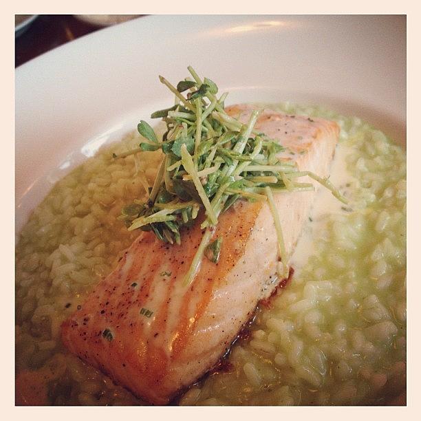 Seared Atlantic Salmon With Parsley Photograph by Jana Seitzer