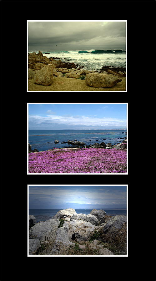 Seascape Triptych Photograph by Joyce Dickens