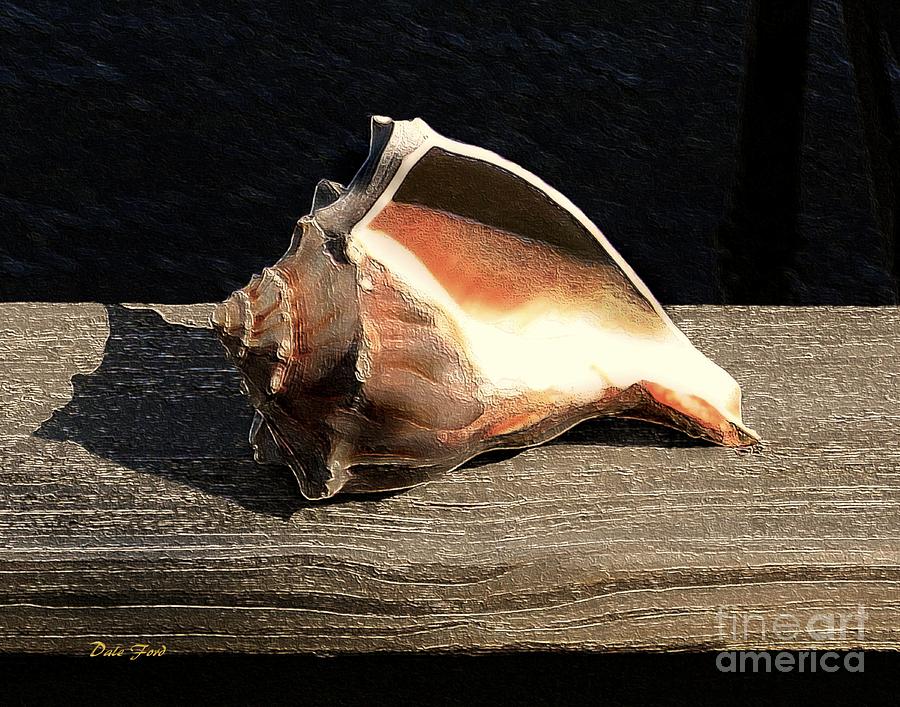 Seashell Digital Art by Dale   Ford