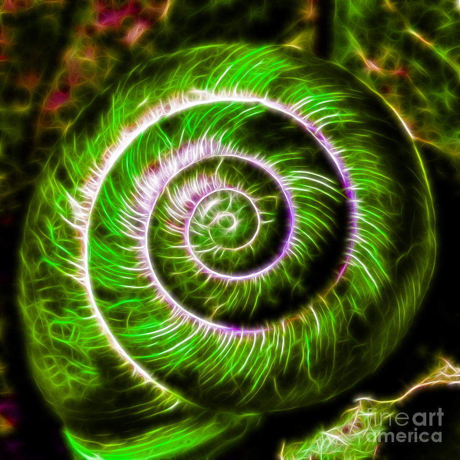 Seashell - Electric - Green Photograph by Wingsdomain Art and Photography