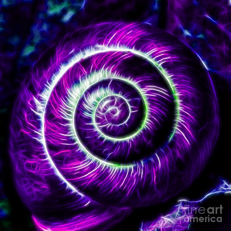 Seashell - Electric - Purple Photograph by Wingsdomain Art and Photography