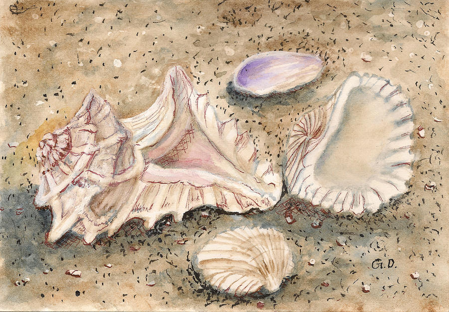 Seashell Medley Miniature Painting by Gail Darnell - Fine Art America