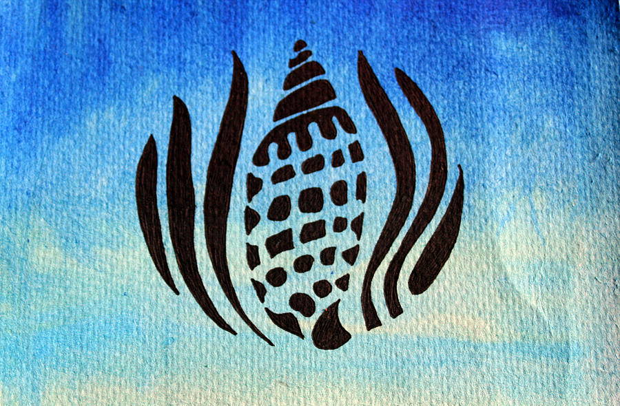 Seashell No.1 Drawing by Georgia Clare