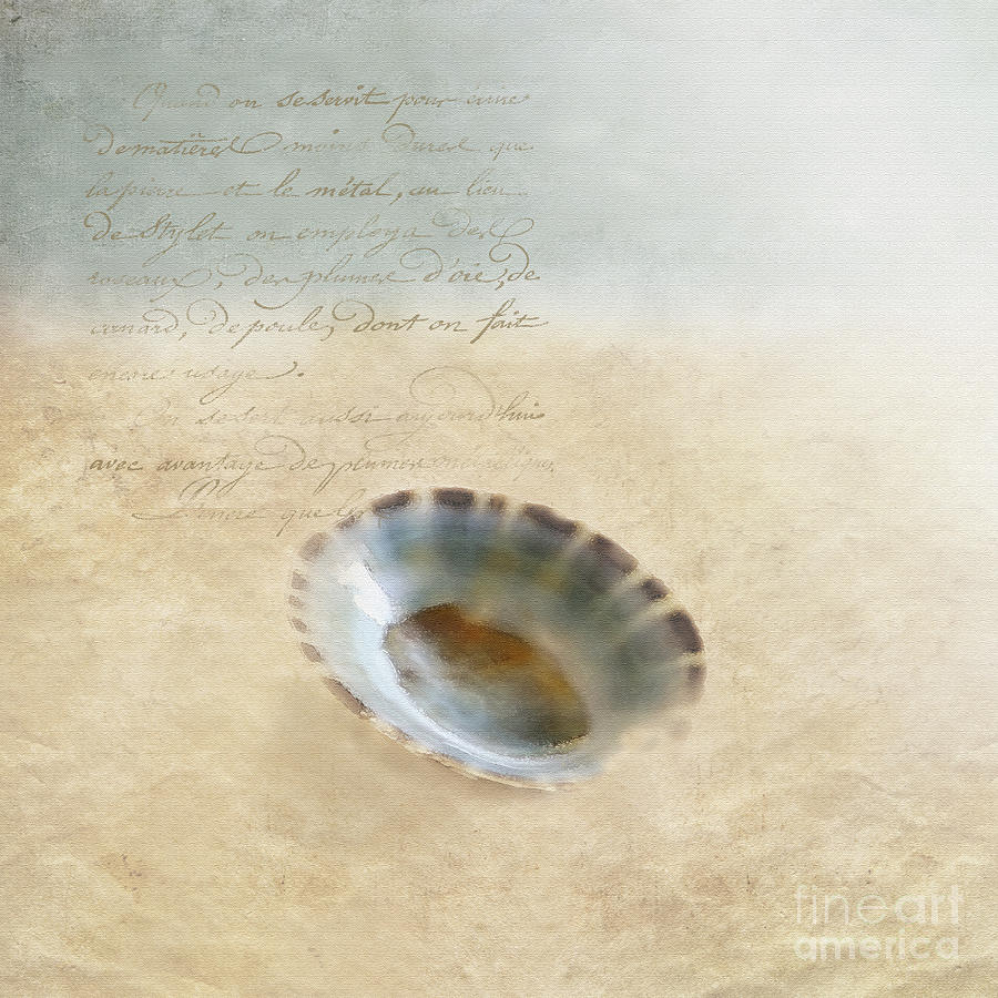 Seashell Squared Photograph by Betty LaRue