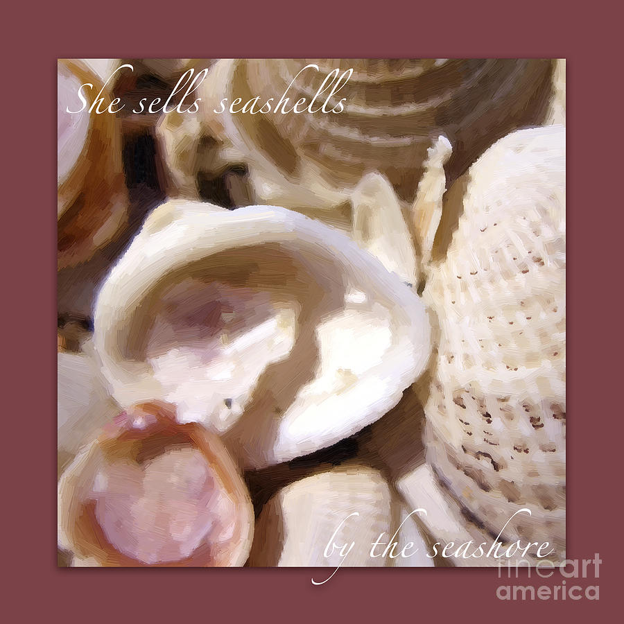 Seashells on Berry Background Photograph by Hermes Fine Art