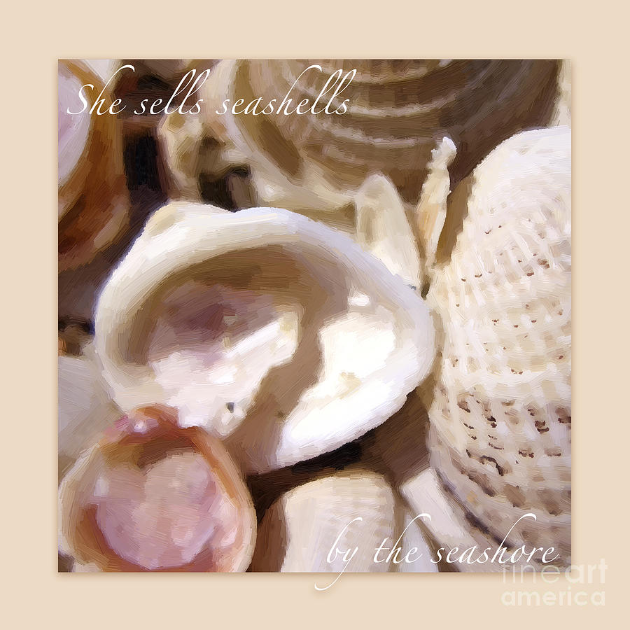 Seashells on Sandy Background Photograph by Hermes Fine Art