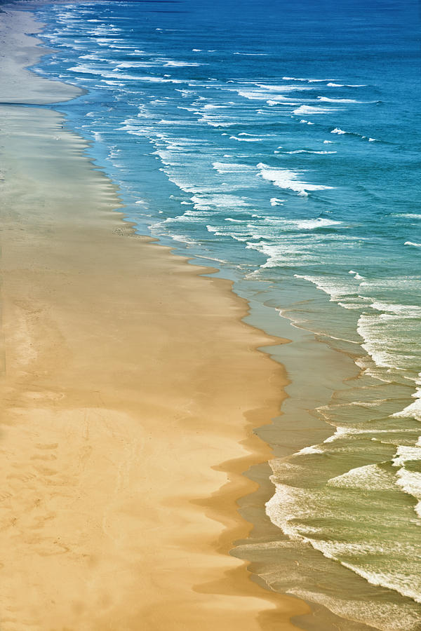 Seashore Symmetry Photograph by Beverly Hanson