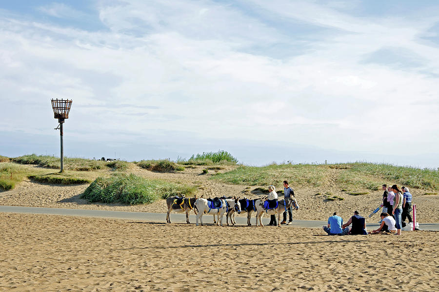 Seaside Donkeys Waiting for the Children Photograph by Rod Johnson