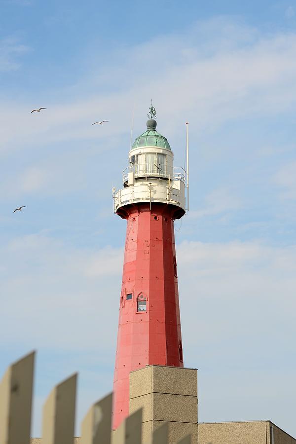 Seaside Lighthouse Photograph by Catherine Murton