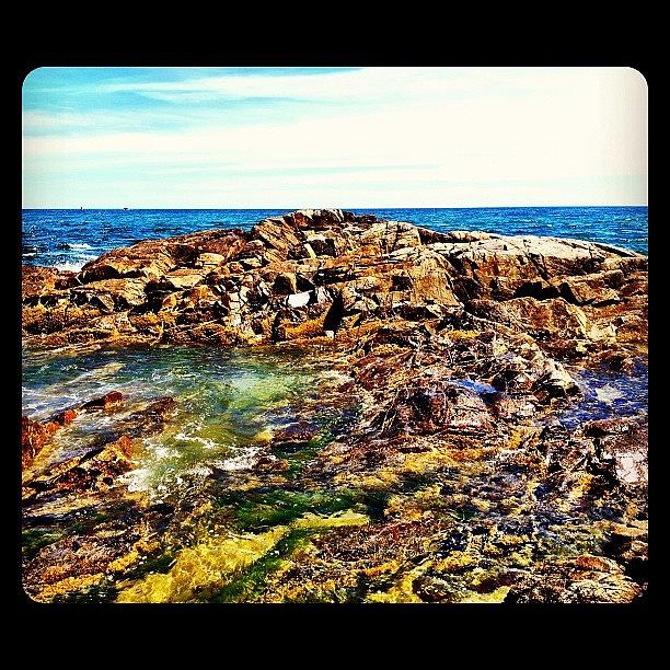 Seaside Rocks 1 Photograph by Allyson Dufour