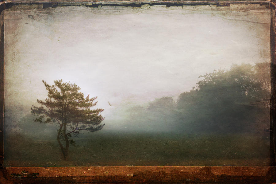 Season Of Mists Photograph by Evelina Kremsdorf