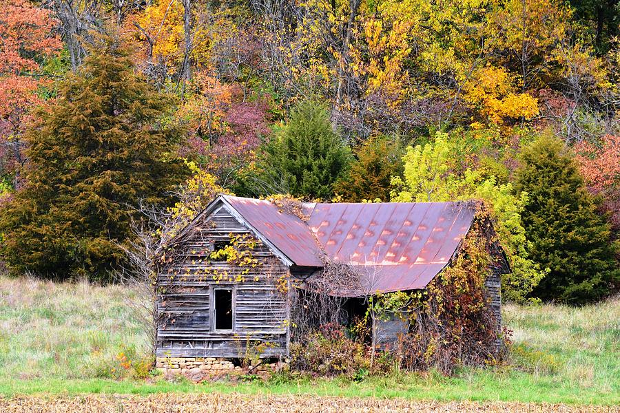 Seasoned with Age in Fall Photograph by Kim Hymes - Fine Art America