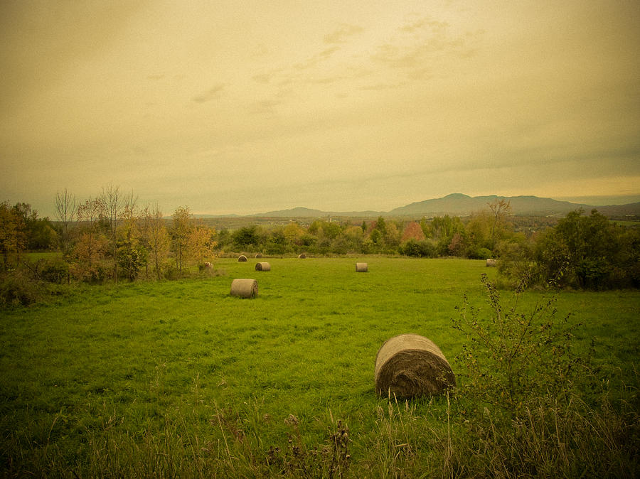 Fall Photograph - Seasons End. Golden Hay Rolls in a Farmers Field by Chantal PhotoPix
