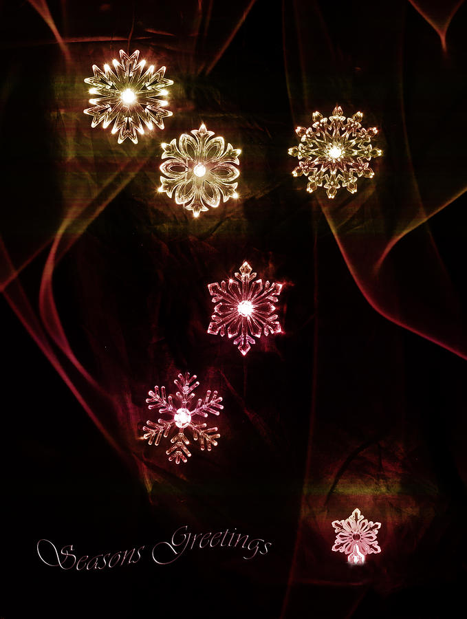 Seasons greeting holiday card snowflakes Photograph by B Cash