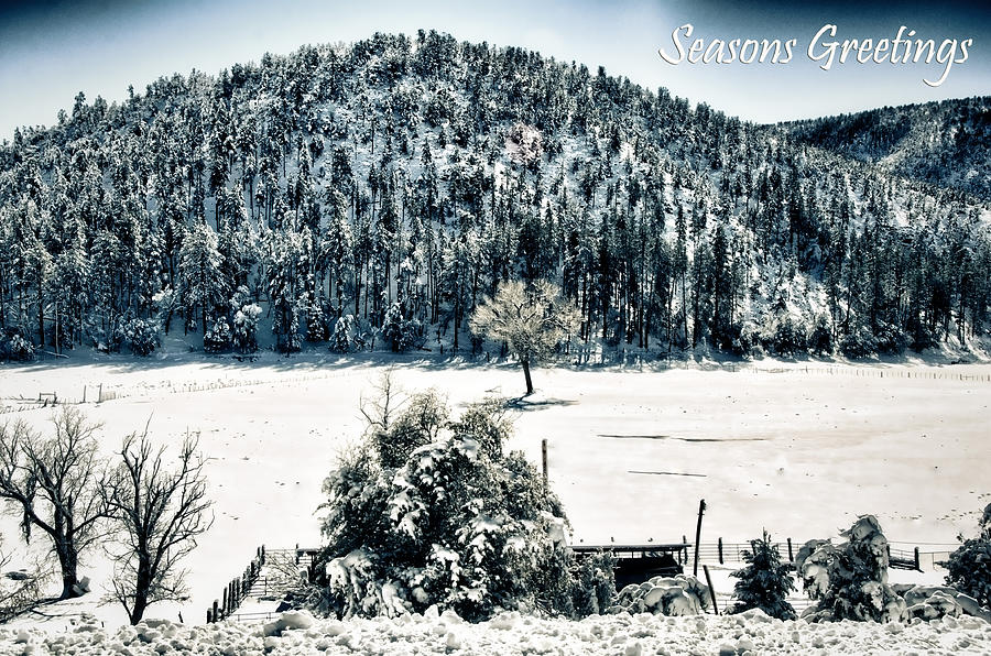 Seasons Greetings  Photograph by Saija Lehtonen