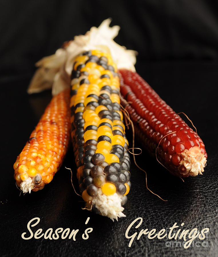 Seasons Greetings- Thanksgiving Card No. 1 Photograph by Luke Moore