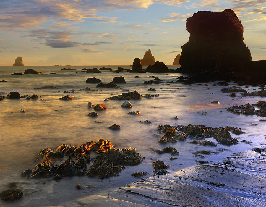 Seastacks Lone Ranch Beach Oregon Photograph by Tim Fitzharris