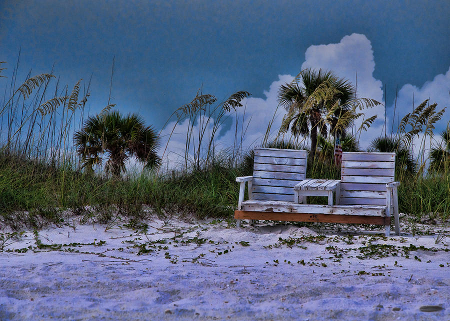 Seat on the Dunes Photograph by Susan Cliett