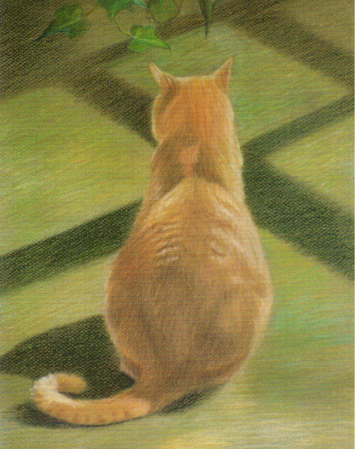Animal Drawing - Seated Orange Tabby Cat by Phyllis Tarlow