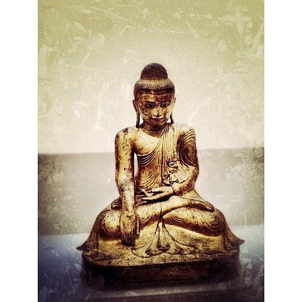 Buddha Photograph - Seated Shakyamuni Buddha, Late by Natasha Marco