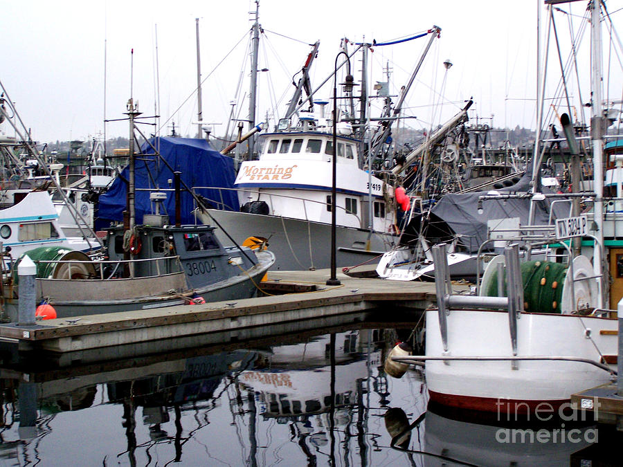 Seattle Fishermans Terminal Photograph by Kathy  White