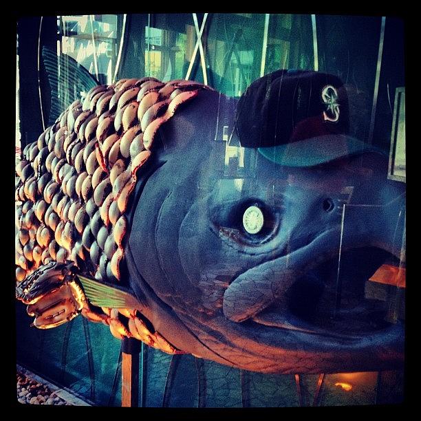 Fish Photograph - #seattle #mariners #fish #baseball by Chris Schielzo