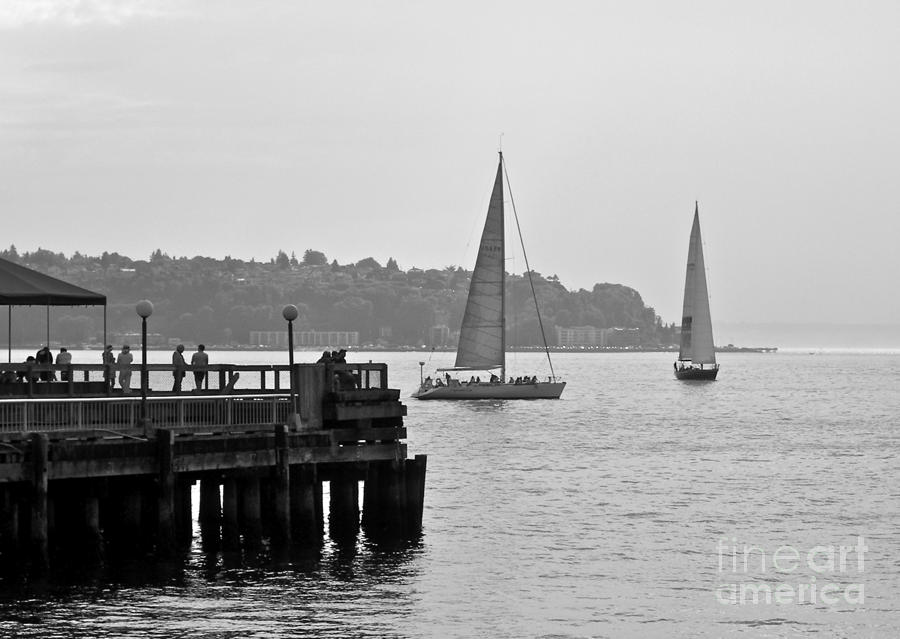 Seattle Sailboats Photograph by Carol  Bradley