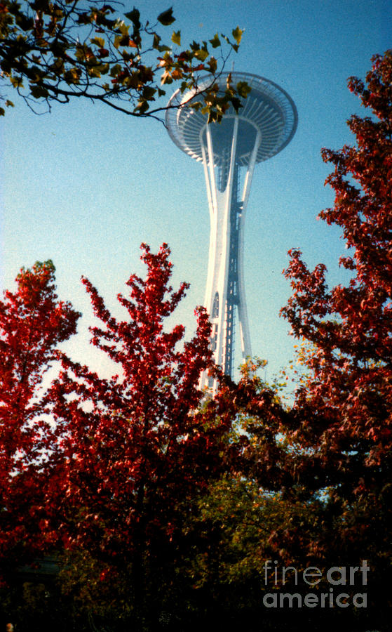 Seattle Space Needle Photograph by Peggy Holcroft