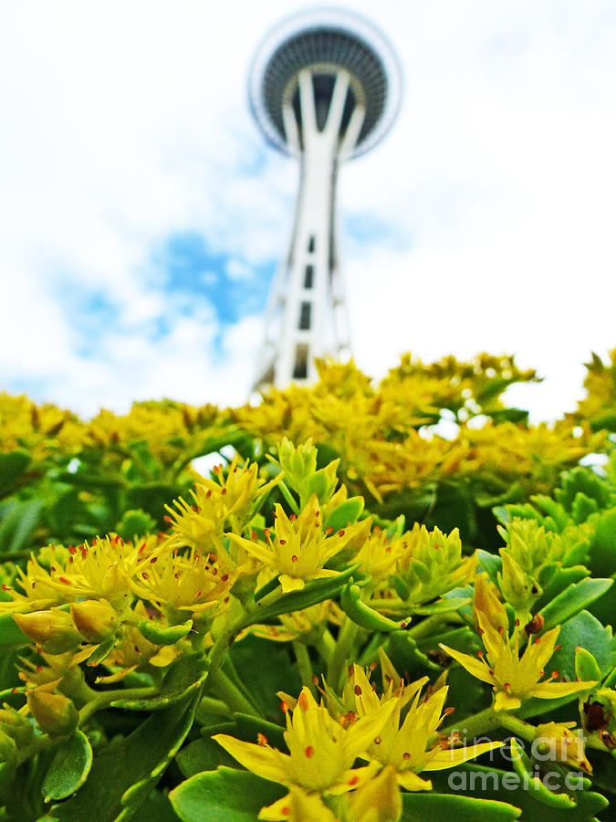 Up Movie Photograph - Seattle Space Needle -wide angle by Nancy Chilcott