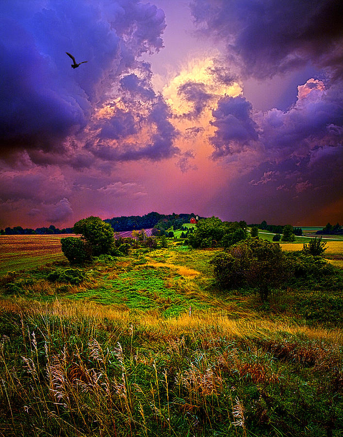 Secluded Dream Photograph by Phil Koch