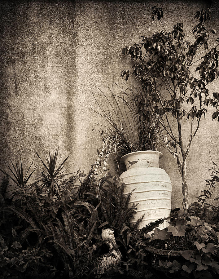 Black And White Photograph - Secret Garden by Mario Celzner