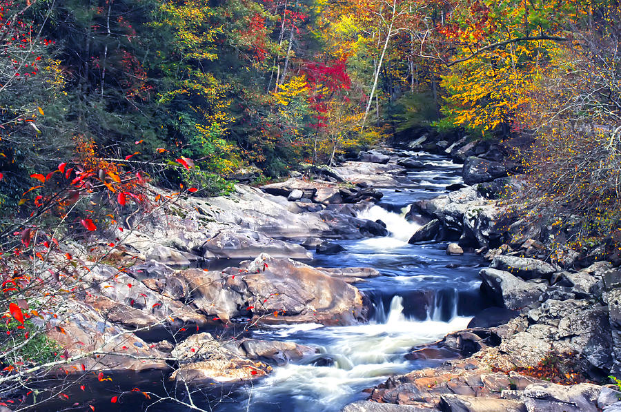 Secret Mountain Trout Stream by Randall Branham