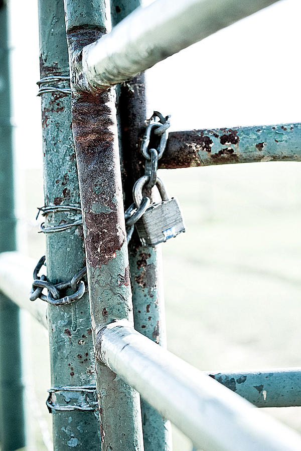 Gate Photograph - Secured by Elizabeth Hart