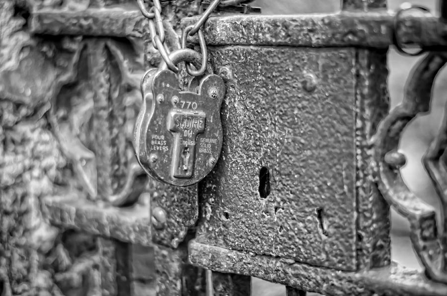 Secured Forever Photograph by Heather Applegate