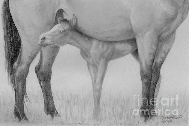 Horse Drawing - Security Blanket by Dave Alwin