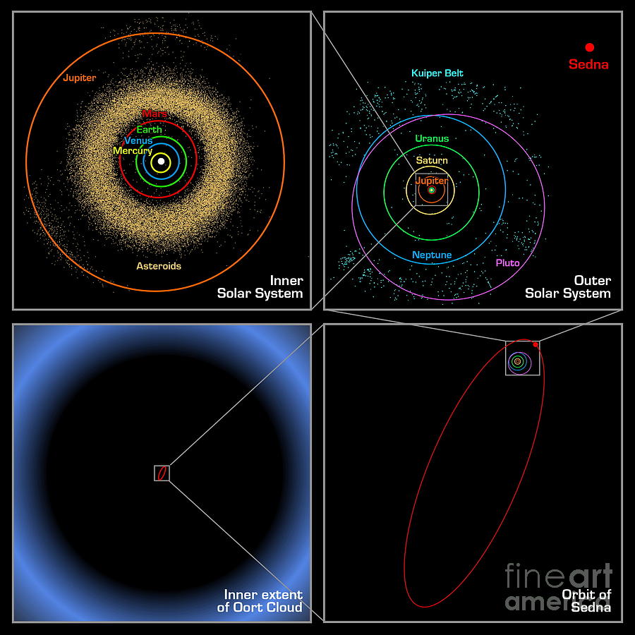 Sednas Orbit Photograph by NASA / JPL-Caltech