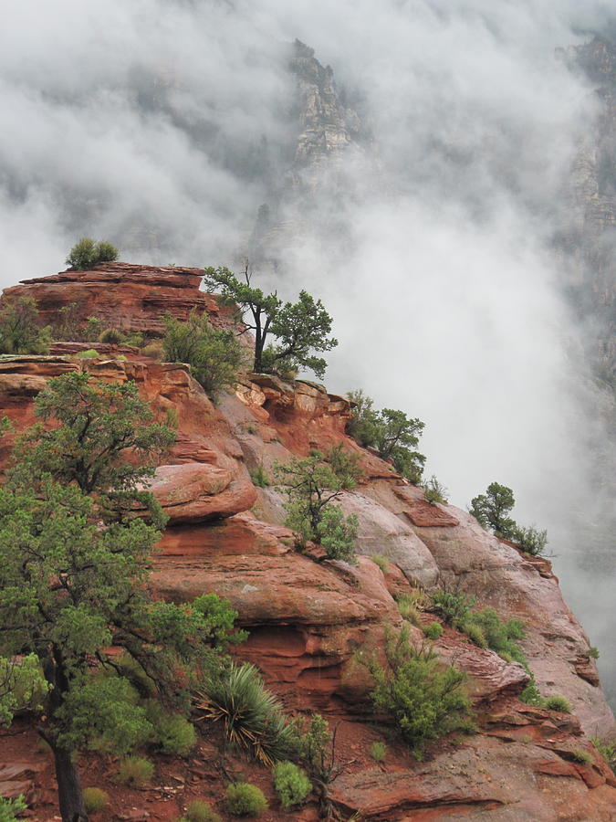 Sedona Mist Photograph by Sandy Tracey