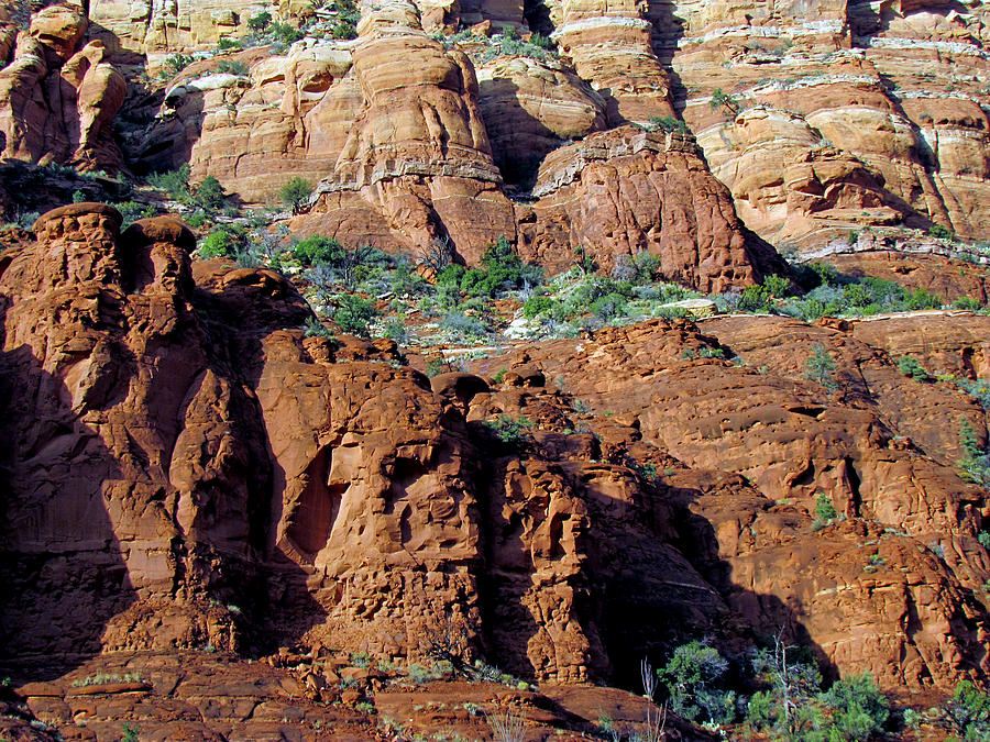 Sedona Red Rock Arizona Photograph by Judy Wanamaker