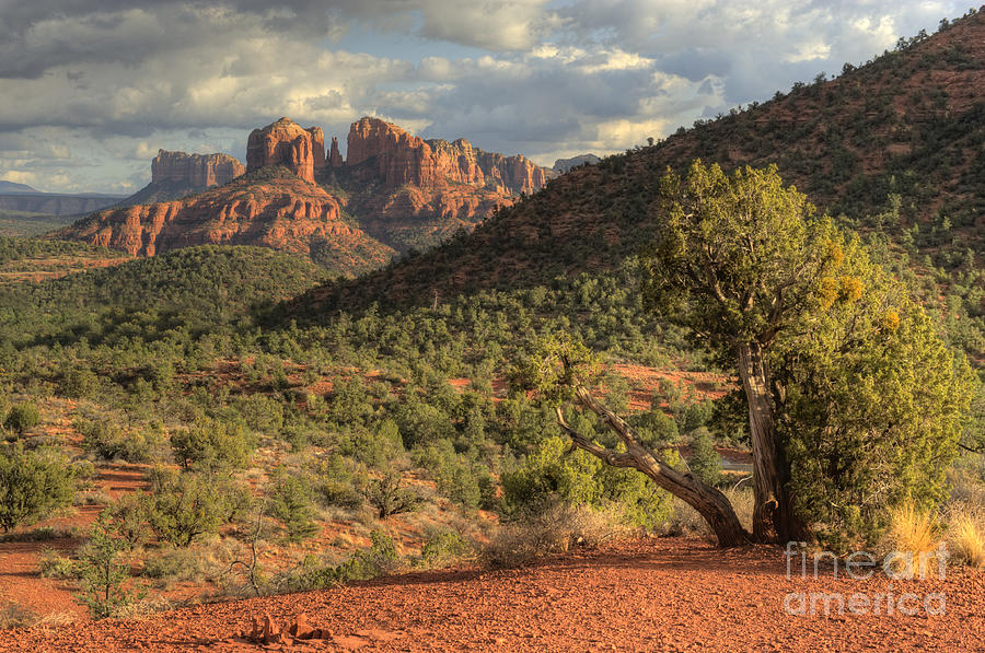 Sedona Red Rock Viewpoint Photograph by Sandra Bronstein
