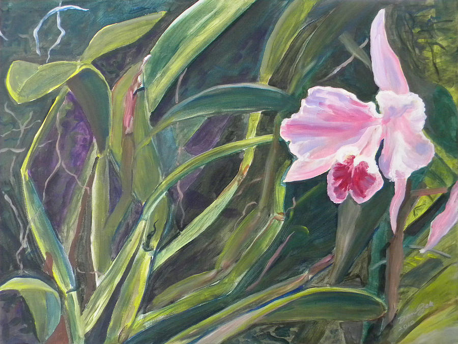 Selby Orchid Painting by Daniel Gale