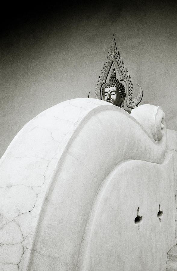 Sensual Buddhism Photograph by Shaun Higson
