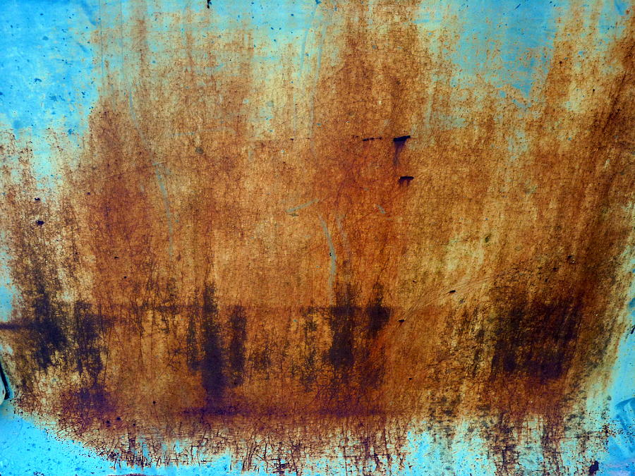 Sepia Splashes of Rust Photograph by Carla Parris