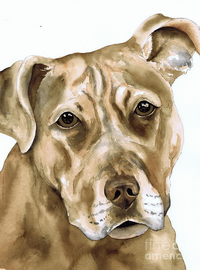 Sepia Tone Pit Bull Dog Painting by Cherilynn Wood