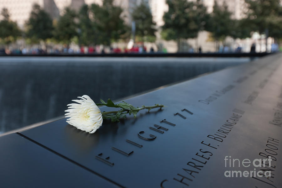 September 11 Memorial Flower Photograph by Clarence Holmes