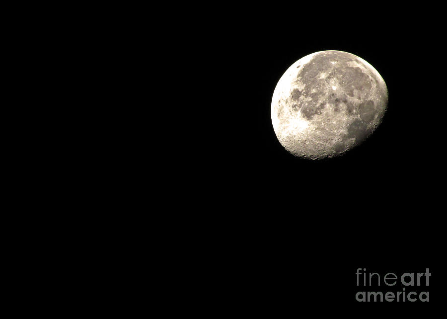 September Moon Photograph by Deborah Johnson