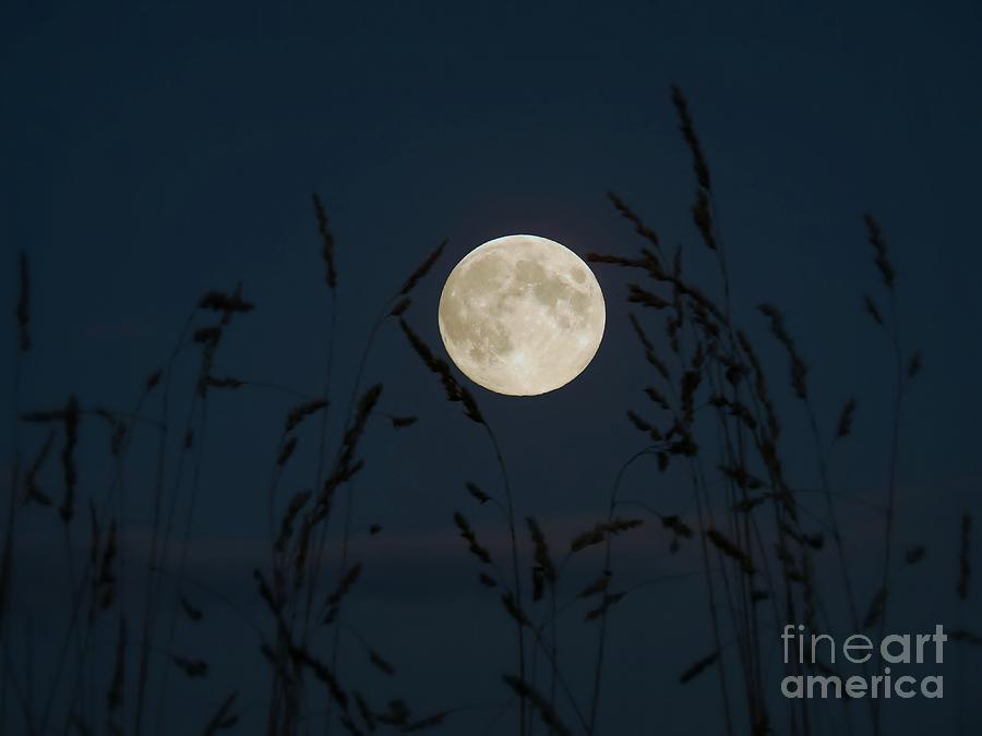 Moon Photograph - September Moon by J J  Everson