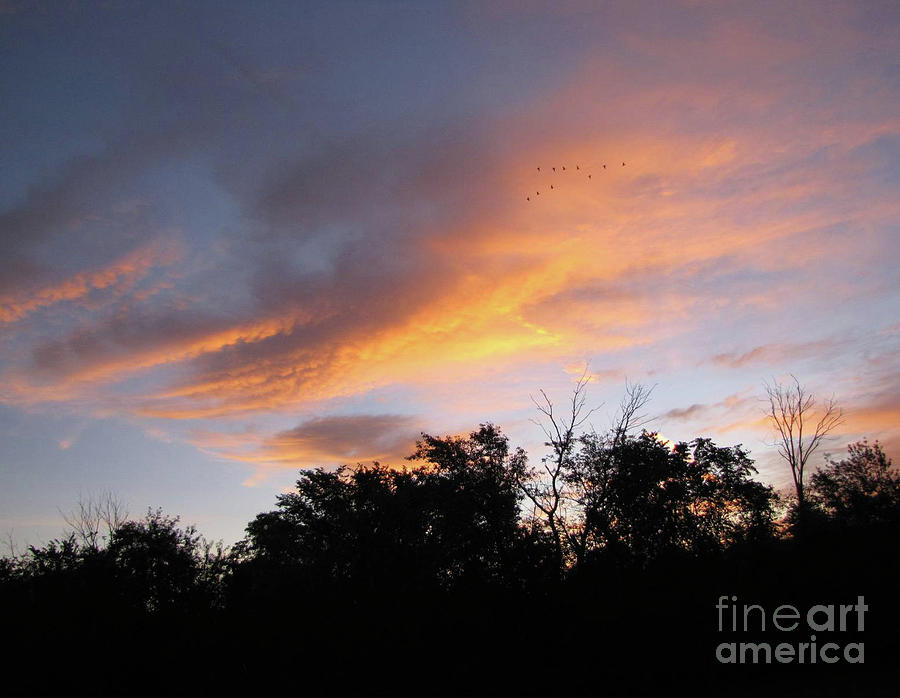 September Sunrise 1 Photograph by Cedric Hampton