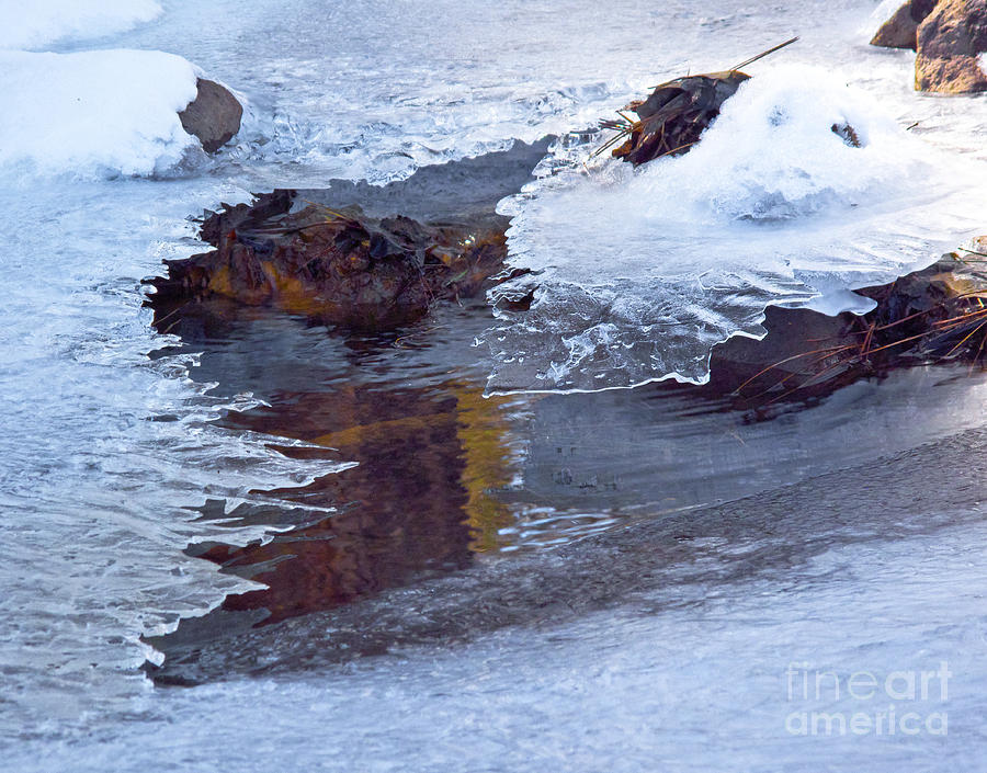 Serendipity in Ice  Photograph by L J Oakes
