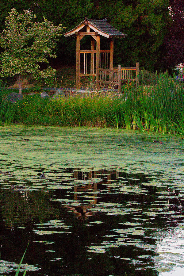 Serene Reflections Photograph by Marie Jamieson